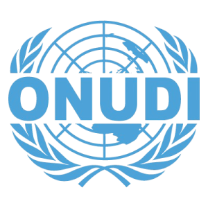 logo ONUDI